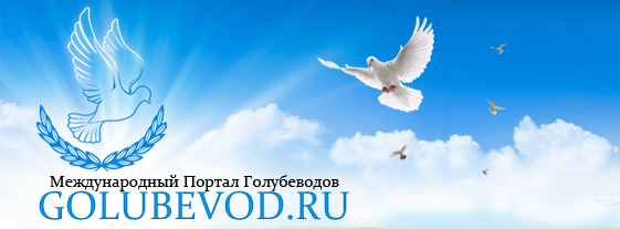 Логотип