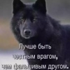 Русский чистый космач - последнее сообщение от Flex